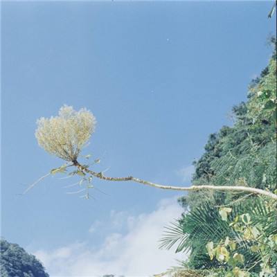 行路难三首